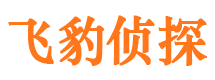 介休侦探